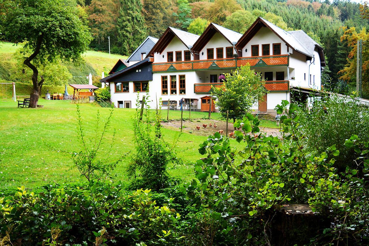 Hotel Baunhoeller-Muehle Emmelshausen Esterno foto